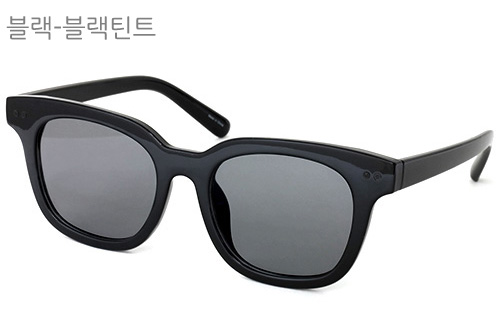 블랙-블랙틴트.jpg