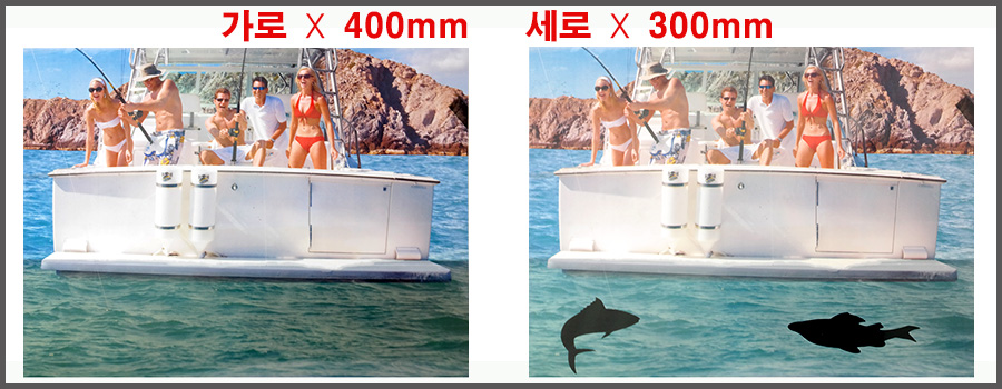 D.jpg